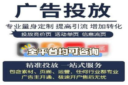 案例分析：SEM推广助力行业竞争突围